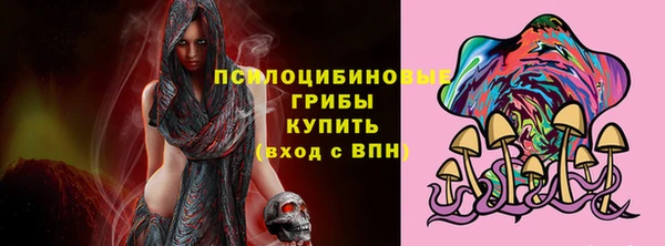гашик Елизово