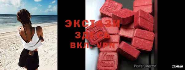 дмт Ельня