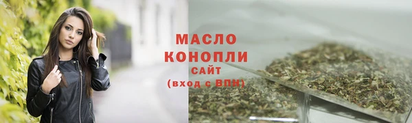 дмт Дмитриев