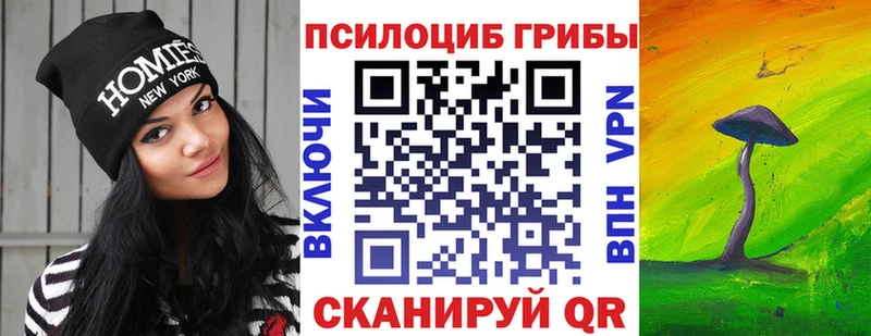 Купить закладки Приволжск Галлюциногенные грибы прущие грибы