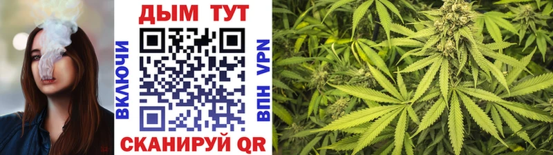 Купить  Приволжск  Шишки марихуана тримм 